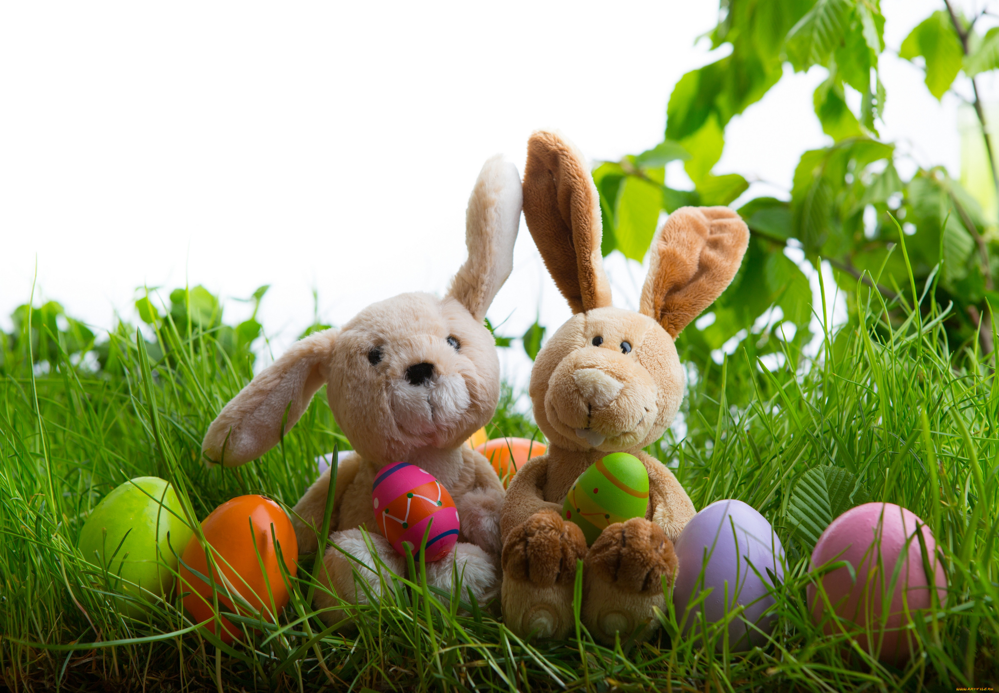 , , , , easter, happy